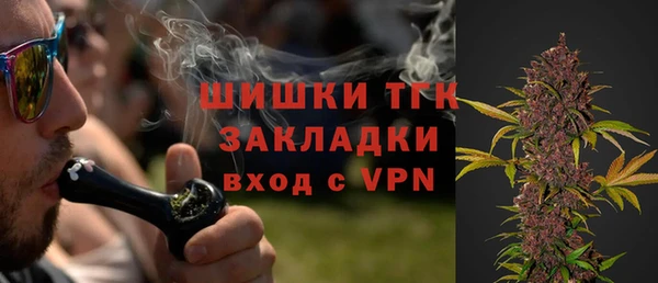 сатива Магас