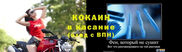 сатива Магас