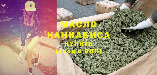 молекула духа Медвежьегорск