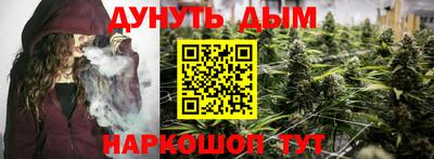 сатива Балахна