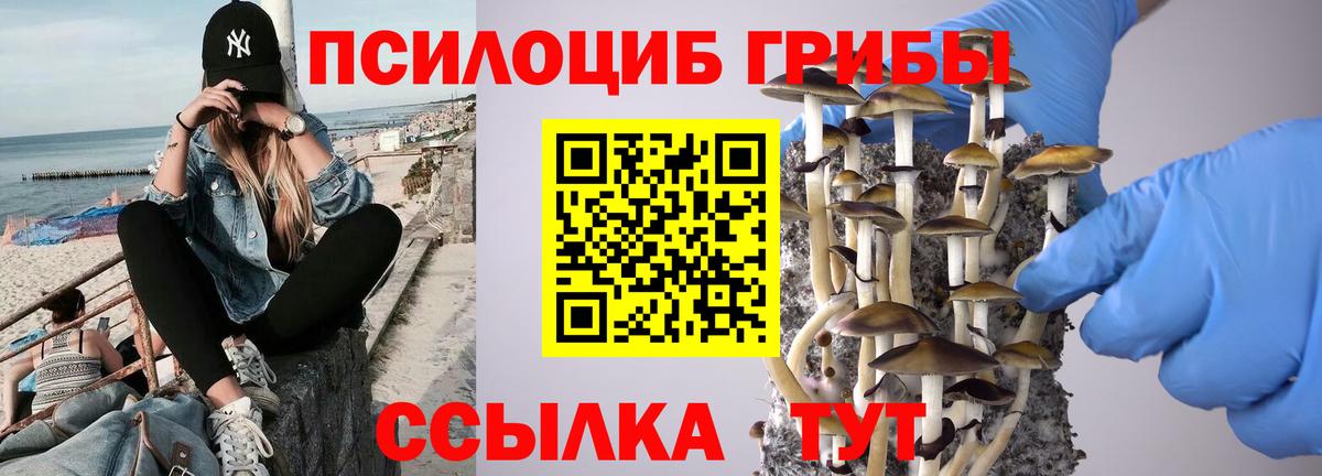 Галлюциногенные грибы Cubensis  Старая Русса  Псилоцибиновые грибы Magic Shrooms 
